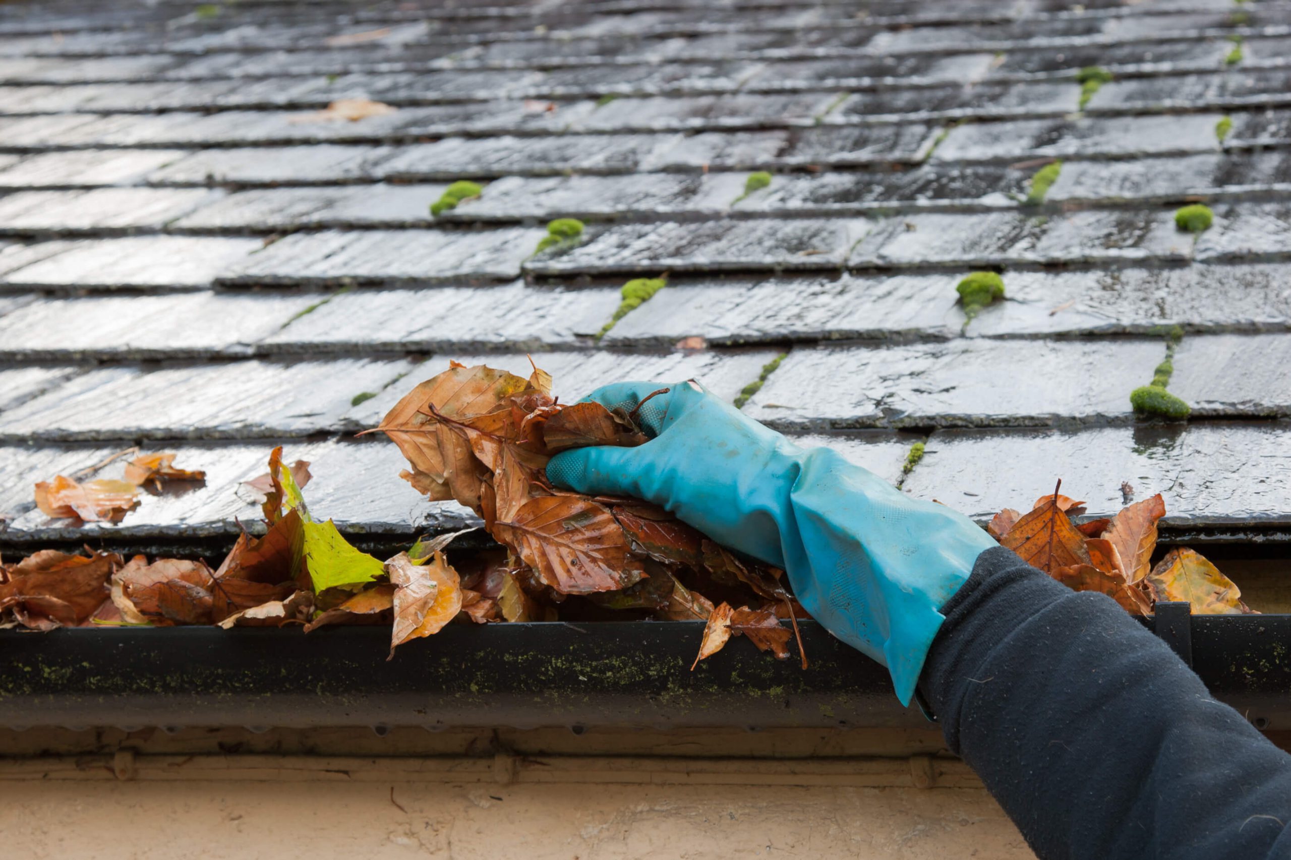 reliable gutter cleaning High Wycombe reliable Guttering Services
